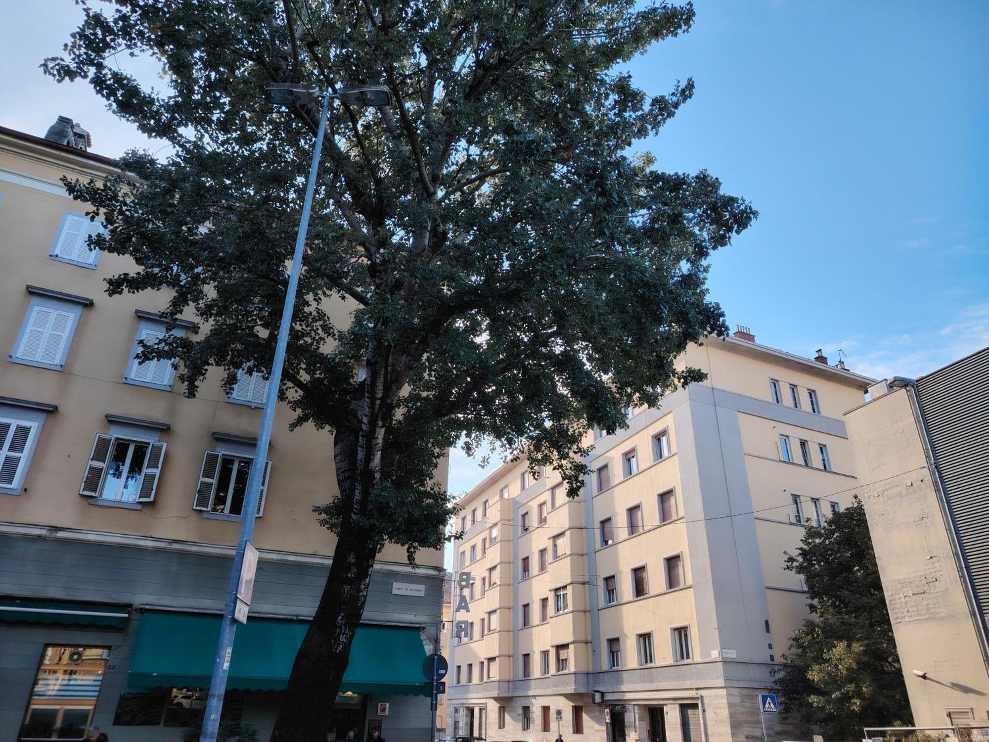 Fabio Haus Trieste Exterior foto